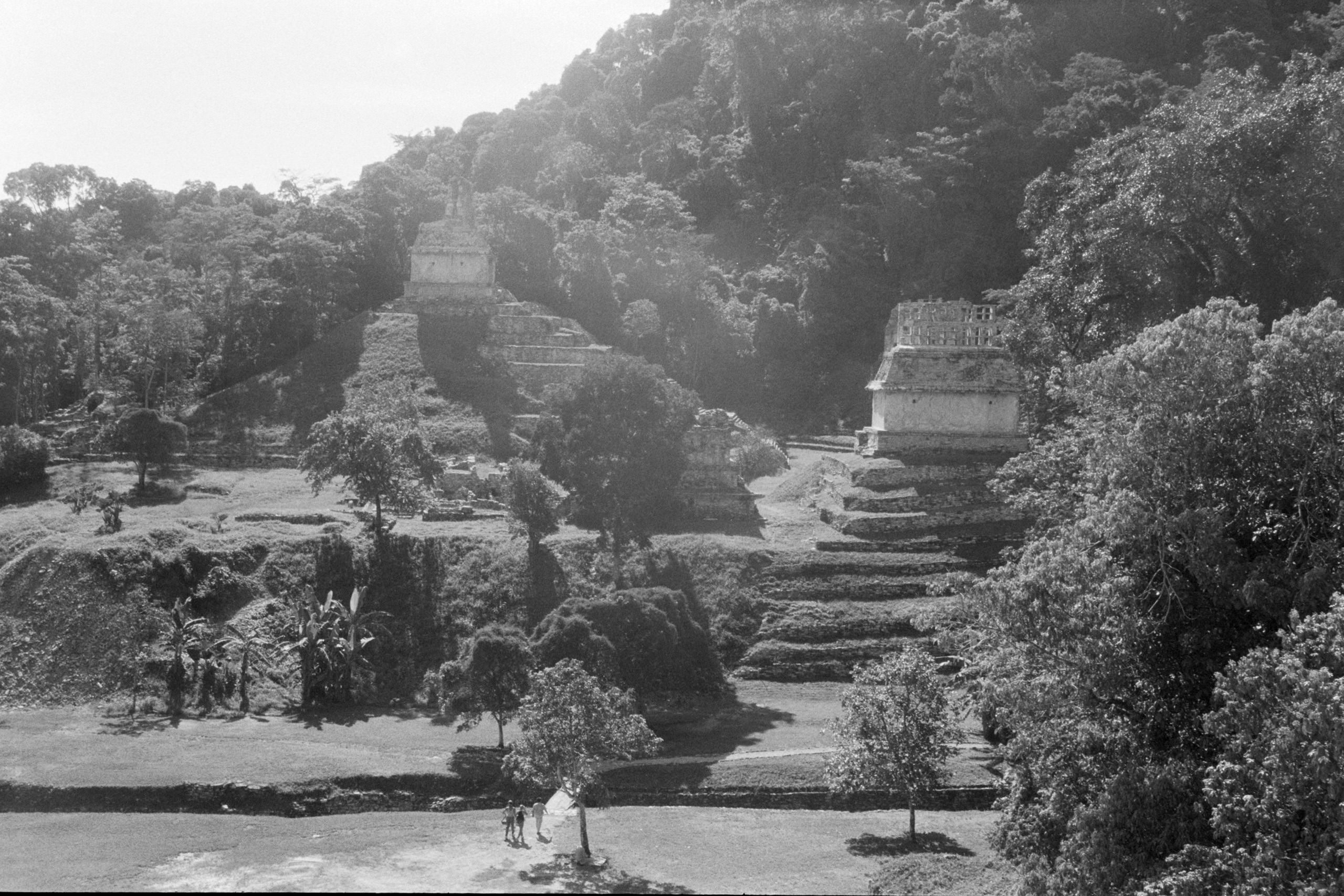 AHP FilmScan 240807 0647